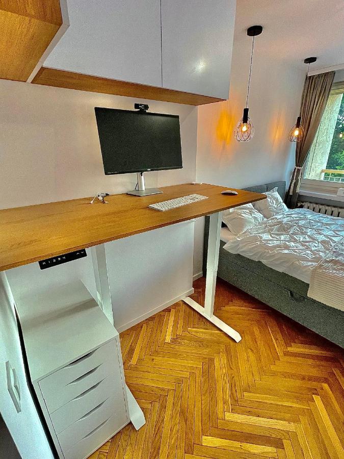 Luxurious Boho Style Apartm. *Home Office* +Desk カトヴィツェ エクステリア 写真